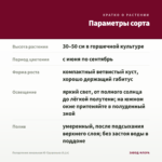 Пеларгония зональная Ю-Грушенька (0,1л) — параметры сорта
