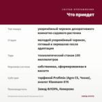 Пеларгония зональная Ю-Грушенька (0,1л) — что приедет