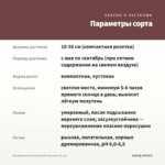 Пеларгония зональная Ю-Халлинг (0,1л) — параметры сорта