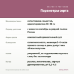 Пеларгония зональная Ю_Кейли (0,1л) — параметры сорта