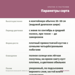 Пеларгония зональная Ю_Кейли (0,1л) — параметры сорта