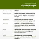 Пеларгония зональная Ю Полонез (0,1л) — параметры сорта