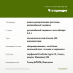 Пеларгония зональная Ю Полонез (0,1л) — что приедет
