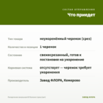 Пеларгония зональная Ю Полонез (срез/1шт) — что приедет