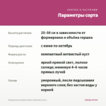 Пеларгония зонартик Леона Галактика (0,1л) — параметры сорта