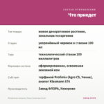 Пеларгония зонартик Леона Галактика (0,1л) — что приедет