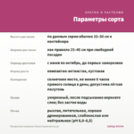 Пеларгония зонартик Леона Галактика (0,1л) — параметры сорта