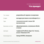 Пеларгония зонартик Леона Галактика (0,1л) — что приедет