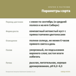 Пеларгония Зонартик Rushmoore Zambezi (0,1л) — параметры сорта