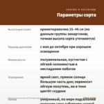 Пеларгония зонартик ЮВ Звезда Водолея (0,1л) — параметры сорта