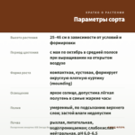 Пеларгония зонартик ЮВ Звезда Водолея (0,1л) — параметры сорта
