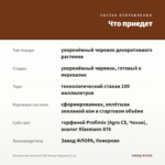 Пеларгония зонартик ЮВ Звезда Водолея (0,1л) — что приедет