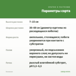 Пеллиония — параметры сорта