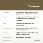 Пеллиония Браун (0,1л) — что приедет