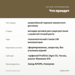 Пеллиония Браун (0,1л) — что приедет