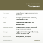 Пеллиония Пульхра (0,1л) — что приедет