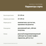 Пеперомия Каперата Грей Луна (0,2л) — параметры сорта
