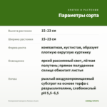 Пеперомия Каперата Лилиан (0,2л) — параметры сорта