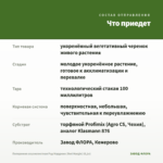 Пеперомия клузиелистная Рэд Марджин (Red Margin) (0,1л) — что приедет
