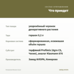 Пеперомия Милано (0,2л) — что приедет