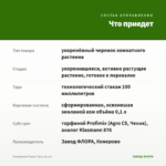 Пеперомия Пикси Грин (0,1л) — что приедет