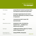 Пеперомия Пикси Лайм (0,1л) — что приедет