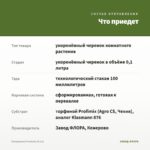 Пеперомия Prostrata (0,1л) — что приедет