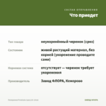 Пеперомия Prostrata (срез/10-15см) — что приедет