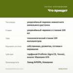 Пеперомия Rondo Venet (0,1л.) — что приедет