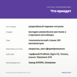 Петуния Amazonas Midnight Finch (0,1л) — что приедет