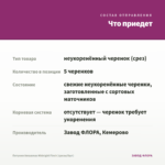 Петуния Amazonas Midnight Finch (срезы/5шт) — что приедет