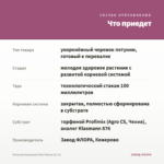 Петуния Amazonas Pink Macaw (0,1л) — что приедет