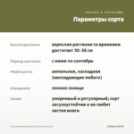 Петуния Amazonas Plum Cockatoo (0,1л) — параметры сорта