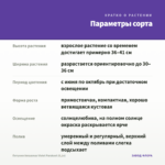 Петуния Amazonas Violet Parakeet (0,1л) — параметры сорта