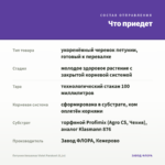 Петуния Amazonas Violet Parakeet (0,1л) — что приедет
