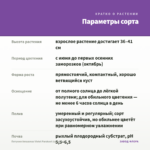 Петуния Amazonas Violet Parakeet (срез/5шт) — параметры сорта