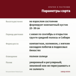 Петуния Amore Fiesta (0,1л) — параметры сорта