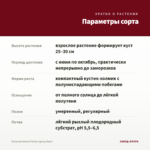Петуния Amore Fiesta (срезы/5шт) — параметры сорта