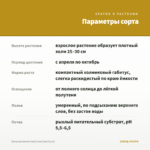 Петуния Amore Heart and Soul (0,1л) — параметры сорта