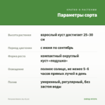 Петуния Amore Joy (0,1л) — параметры сорта