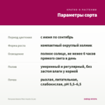 Петуния Amore Pink Hearts (0,1л) — параметры сорта