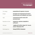 Петуния Amore Princess Pink (0,1л) — что приедет