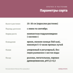 Петуния Amore Princess Pink (срезы/5шт) — параметры сорта