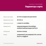 Петуния Amore Purple (0,1л) — параметры сорта