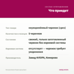 Петуния Amore Purple (срезы/5шт) — что приедет