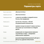Петуния Beautical Caramel Yellow (0,1л) — параметры сорта