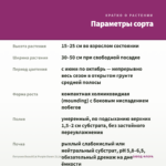 Петуния BeautiCal Purple Dawn (0,1л) — параметры сорта