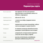 Петуния Blanket Rose (0,1л) — параметры сорта