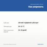 Петуния Blue Diamond (срез/5шт) — как укоренить черенок