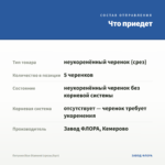 Петуния Blue Diamond (срезы/5шт) — что приедет